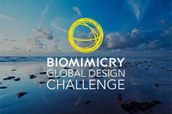 Biomimicry-Global-Design-Challenge